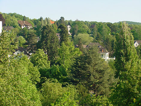 Badenweiler